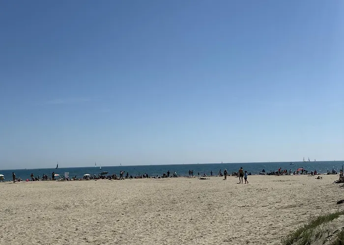 Sol-y-days Tropic, Rez De Jardin Avec Terrasse 公寓